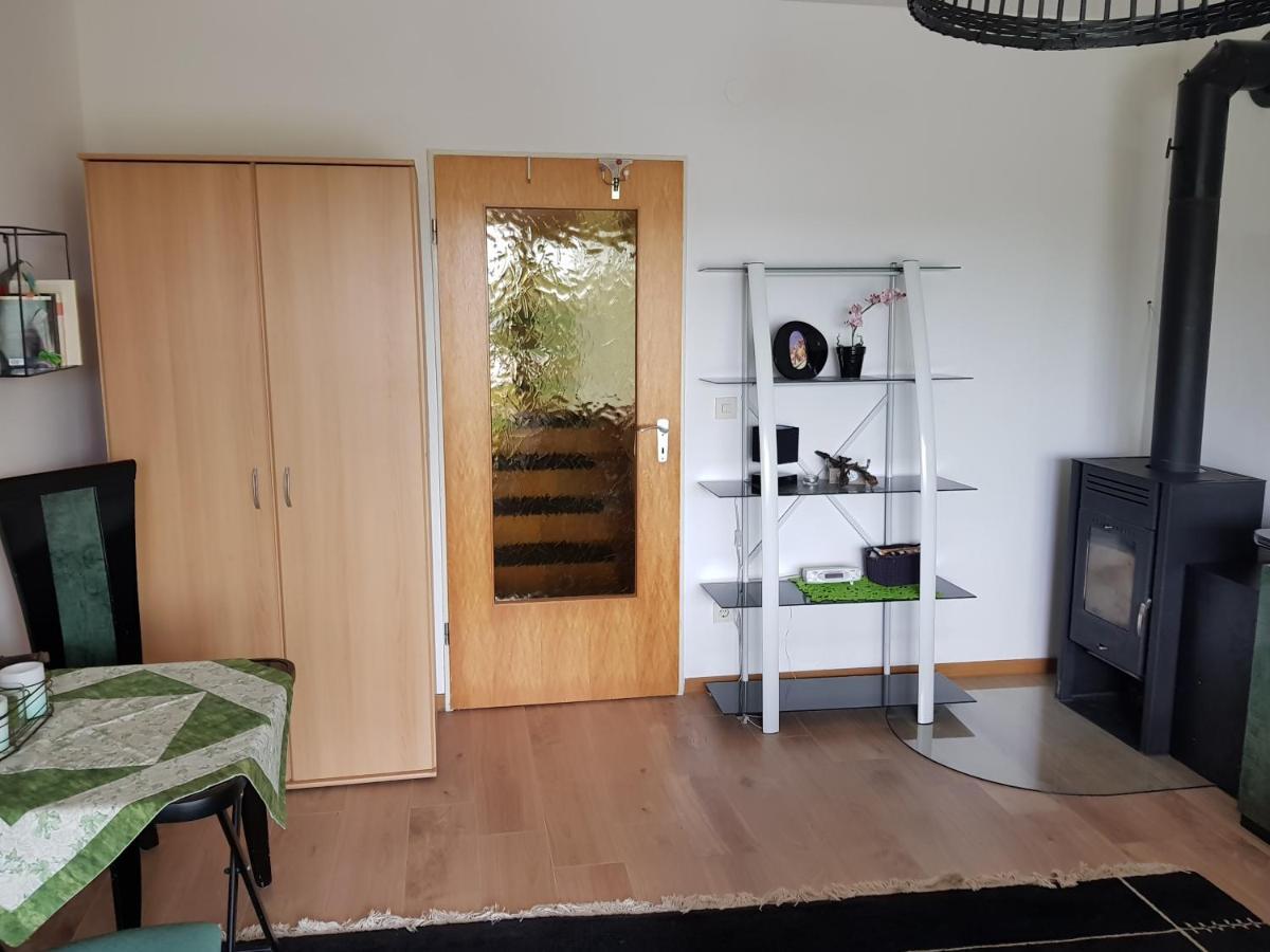 Mit Phantastischer Aussicht Auf Koblenz
